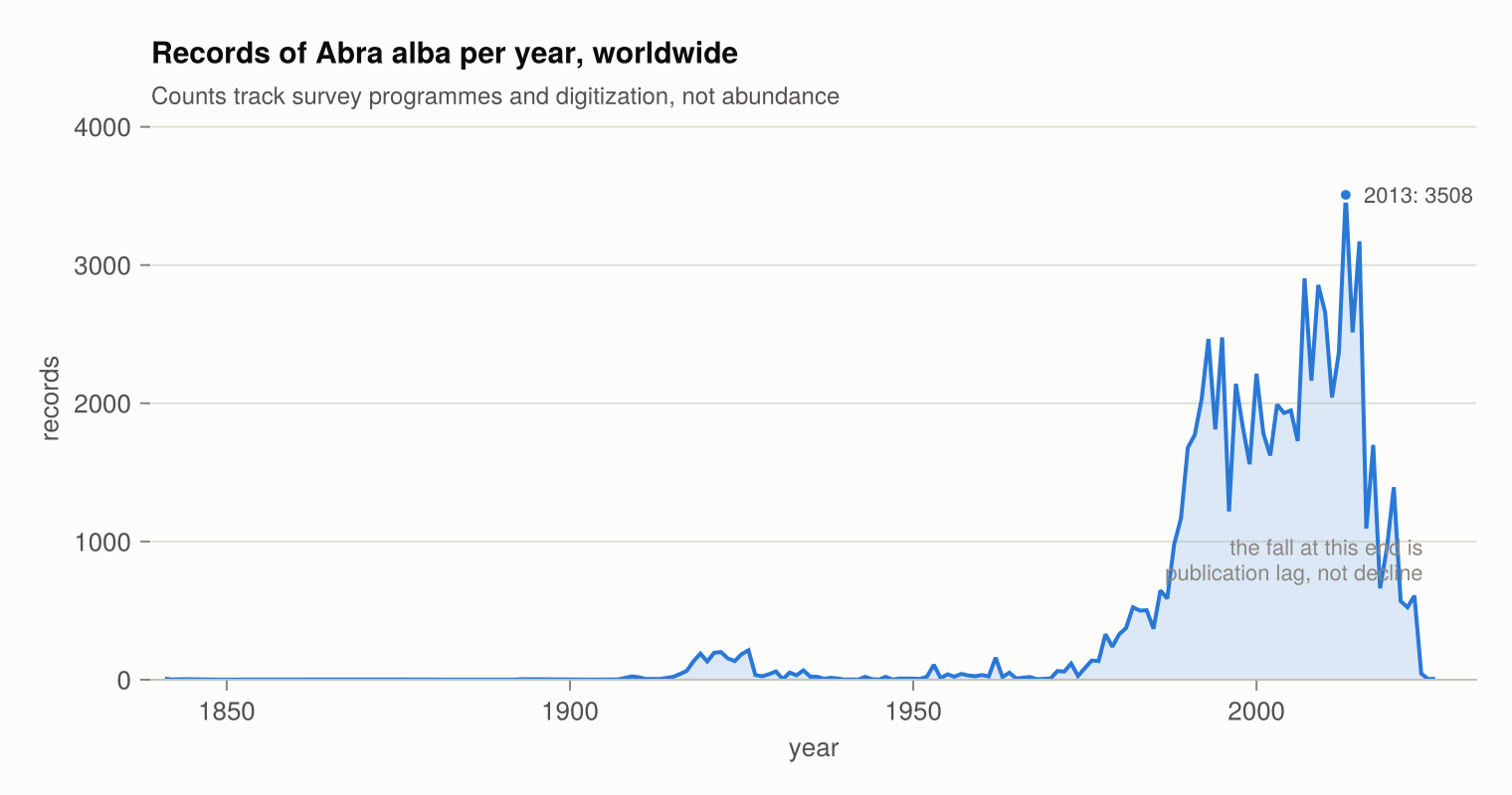 Records of Abra alba per year worldwide